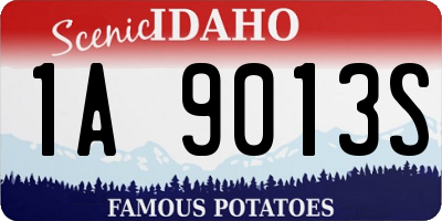 ID license plate 1A9013S