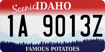 ID license plate 1A9013Z