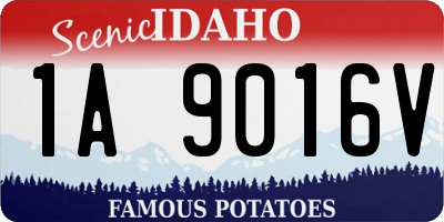 ID license plate 1A9016V