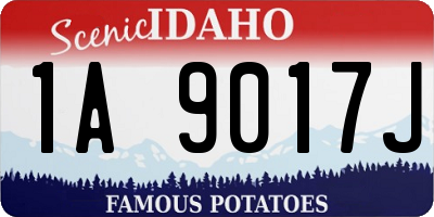 ID license plate 1A9017J
