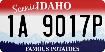 ID license plate 1A9017P
