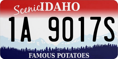 ID license plate 1A9017S