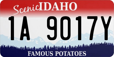 ID license plate 1A9017Y