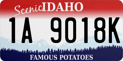 ID license plate 1A9018K
