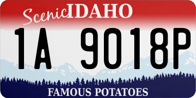ID license plate 1A9018P