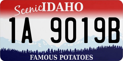 ID license plate 1A9019B