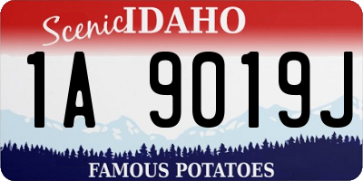 ID license plate 1A9019J