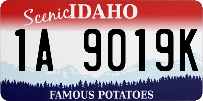 ID license plate 1A9019K