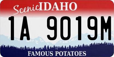 ID license plate 1A9019M