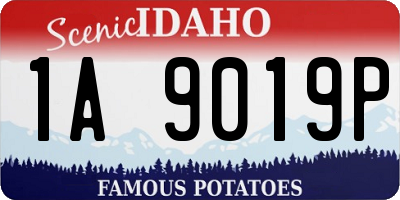 ID license plate 1A9019P