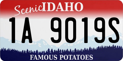 ID license plate 1A9019S