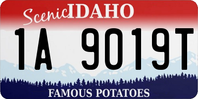 ID license plate 1A9019T