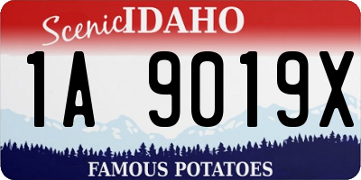 ID license plate 1A9019X