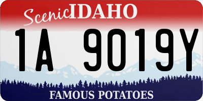 ID license plate 1A9019Y