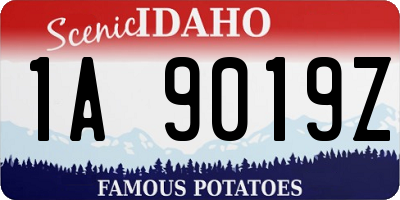 ID license plate 1A9019Z