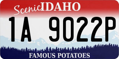 ID license plate 1A9022P