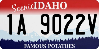 ID license plate 1A9022V