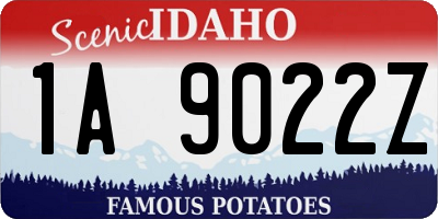 ID license plate 1A9022Z