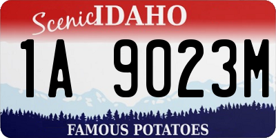 ID license plate 1A9023M