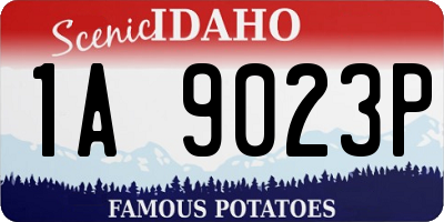 ID license plate 1A9023P