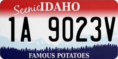 ID license plate 1A9023V