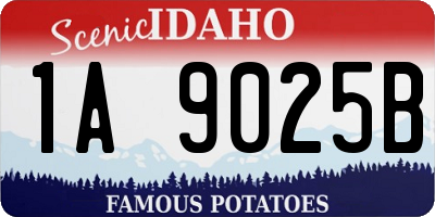 ID license plate 1A9025B