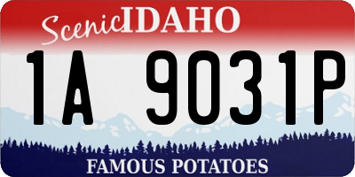 ID license plate 1A9031P