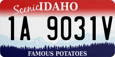 ID license plate 1A9031V