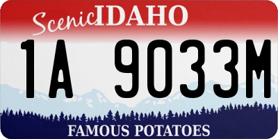 ID license plate 1A9033M