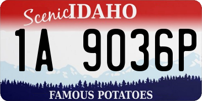 ID license plate 1A9036P
