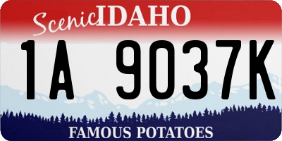 ID license plate 1A9037K