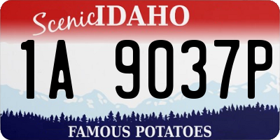 ID license plate 1A9037P