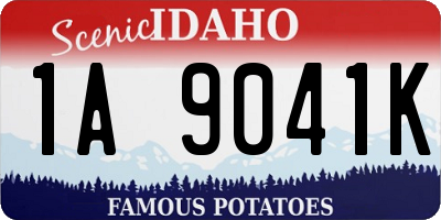 ID license plate 1A9041K