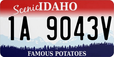 ID license plate 1A9043V