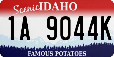 ID license plate 1A9044K