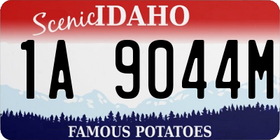 ID license plate 1A9044M