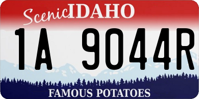 ID license plate 1A9044R