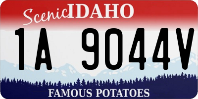 ID license plate 1A9044V