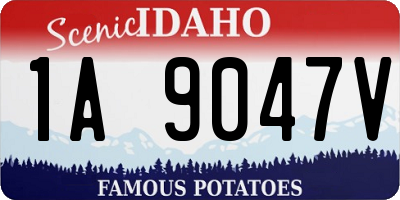 ID license plate 1A9047V