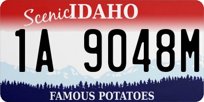 ID license plate 1A9048M