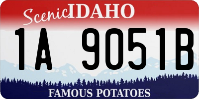 ID license plate 1A9051B