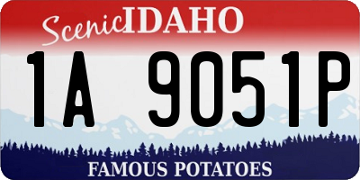 ID license plate 1A9051P