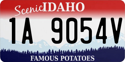 ID license plate 1A9054V
