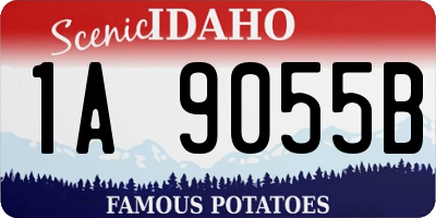 ID license plate 1A9055B