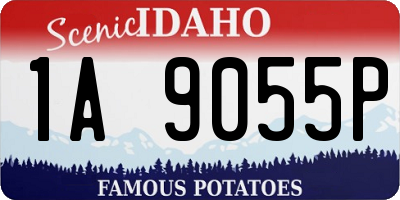 ID license plate 1A9055P