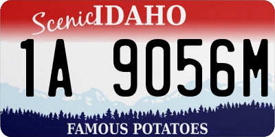 ID license plate 1A9056M