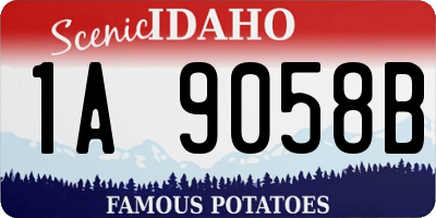 ID license plate 1A9058B