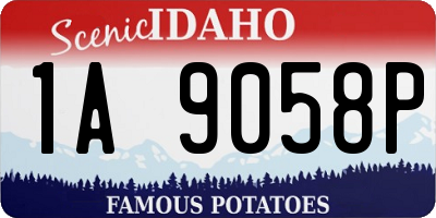 ID license plate 1A9058P