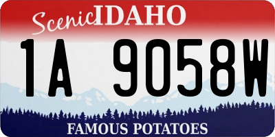 ID license plate 1A9058W
