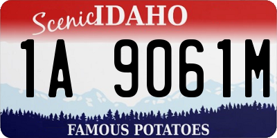 ID license plate 1A9061M